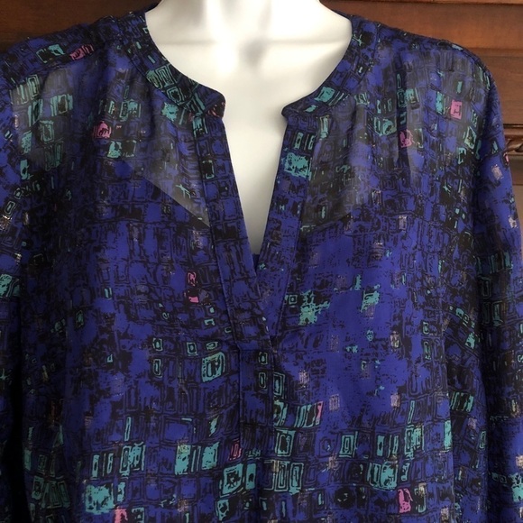 Daniel Rainn | Sheer Tunic with matching cami - Picture 5 of 9